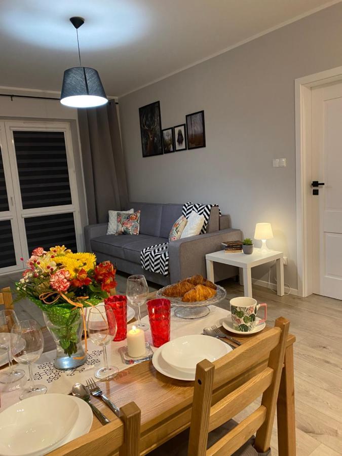 אוסטריצקי דולנה Apartament Sloneczny Poranek מראה חיצוני תמונה