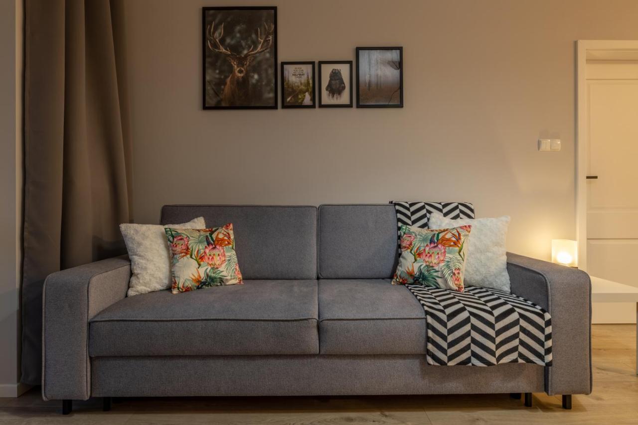 אוסטריצקי דולנה Apartament Sloneczny Poranek מראה חיצוני תמונה